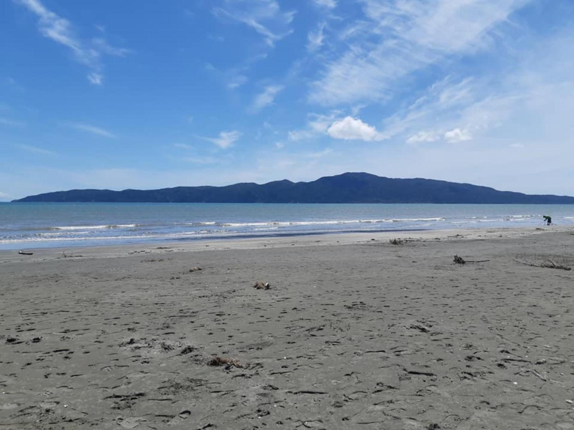 Raumati Guest House Paraparaumu Exteriör bild